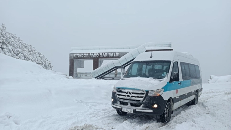 Transfer Cerro Castor